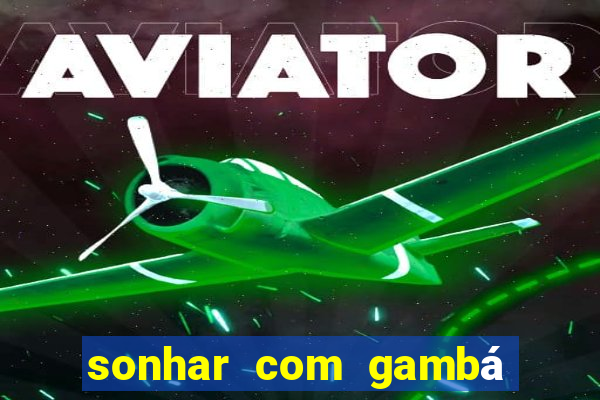 sonhar com gambá jogo do bicho